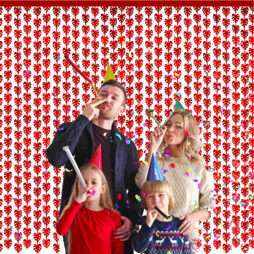 Fringe Curtain Backdrop 