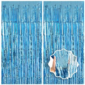 Metallic Curtain (7)