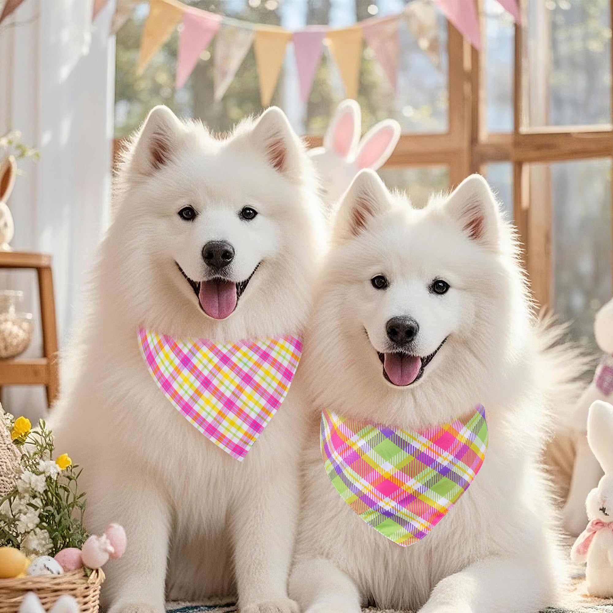 Canine Bandanas