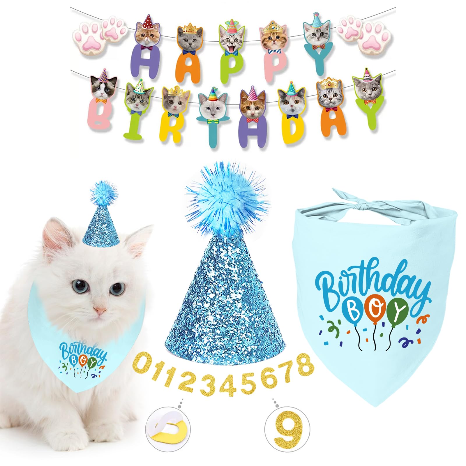 Cat Banner