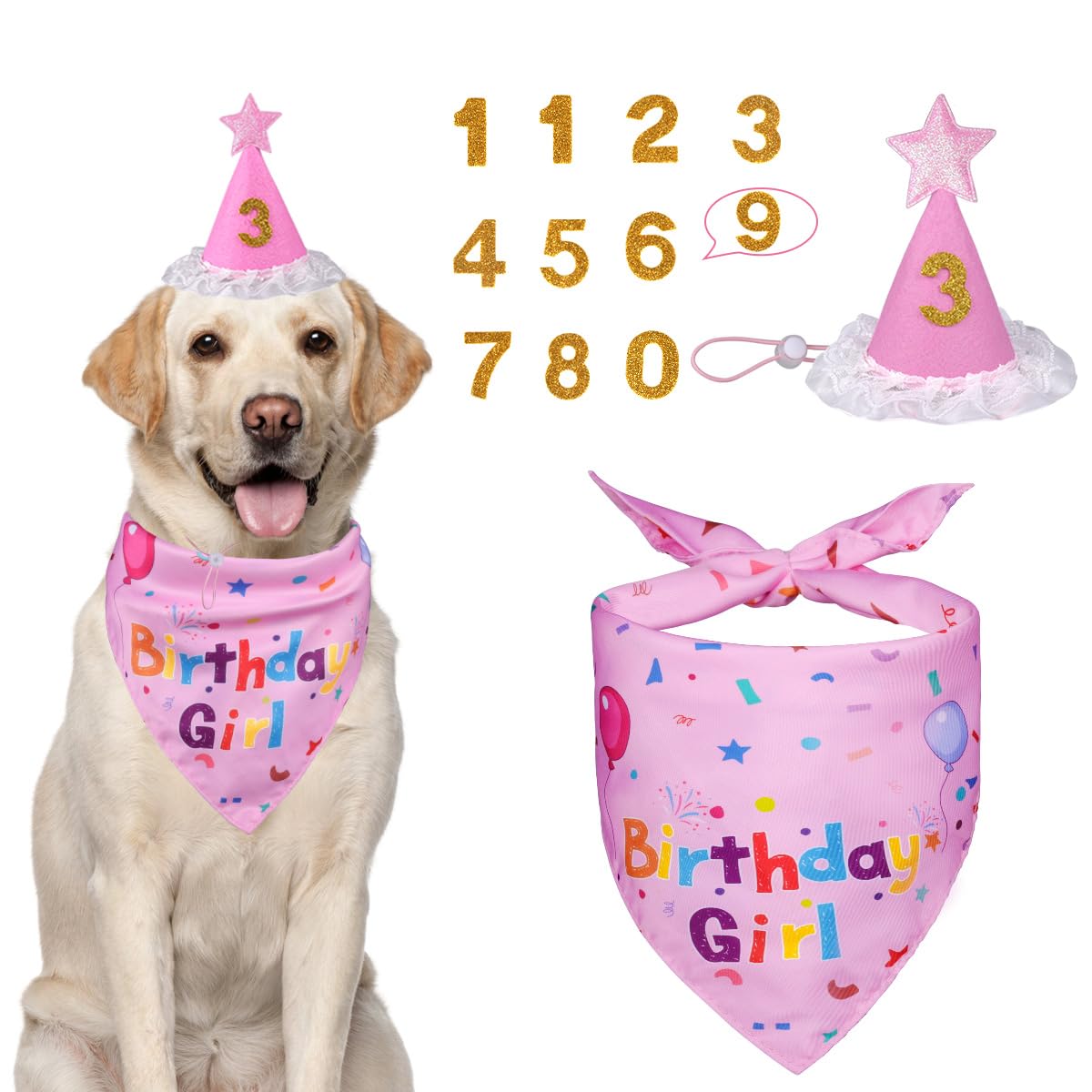 Custom Dog Bandana