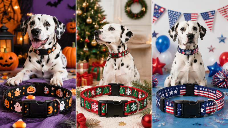 Adjustable pet collars with Easter themed patterns including eggs and festive prints on nylon material for wholesale pet accessories