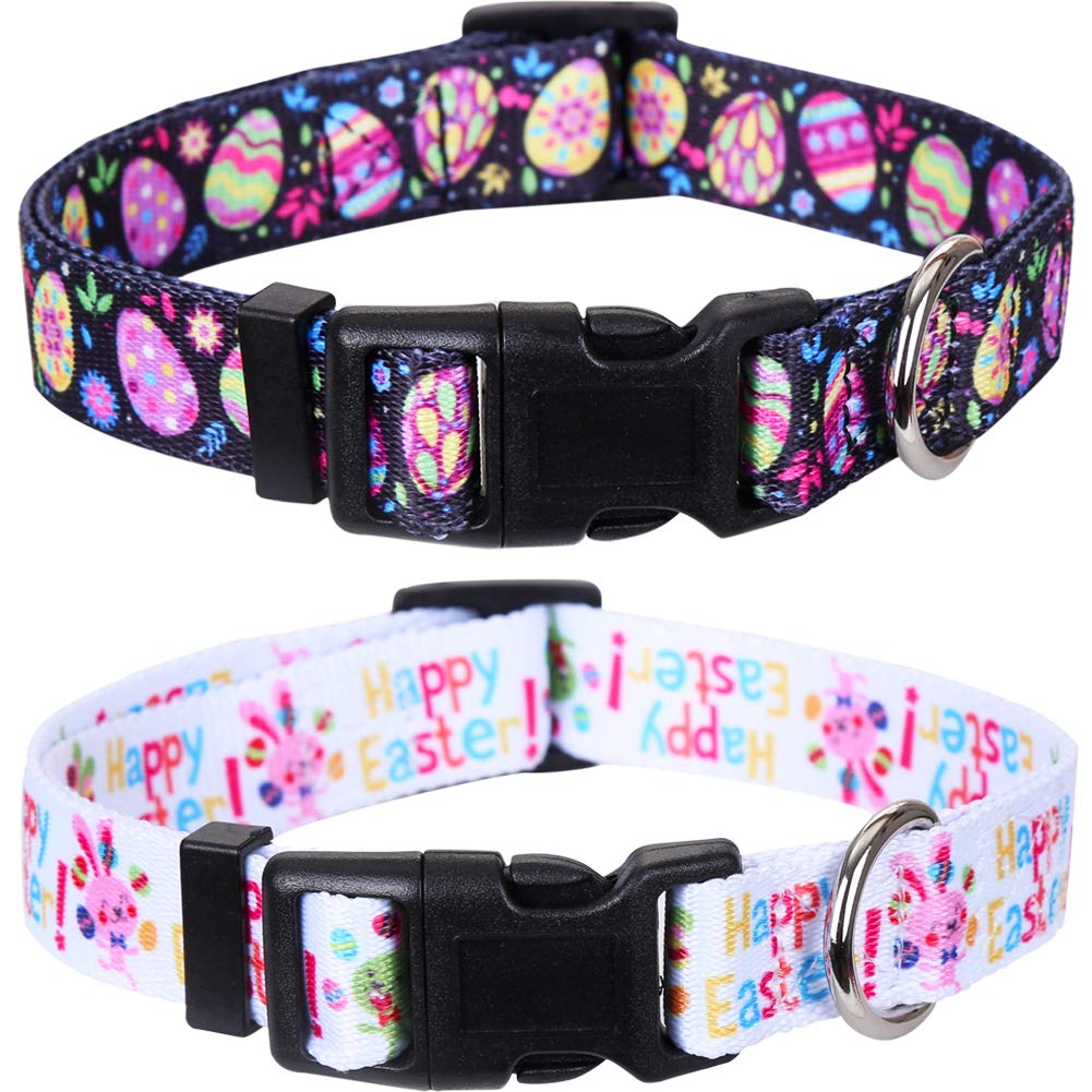 Dog Accesories