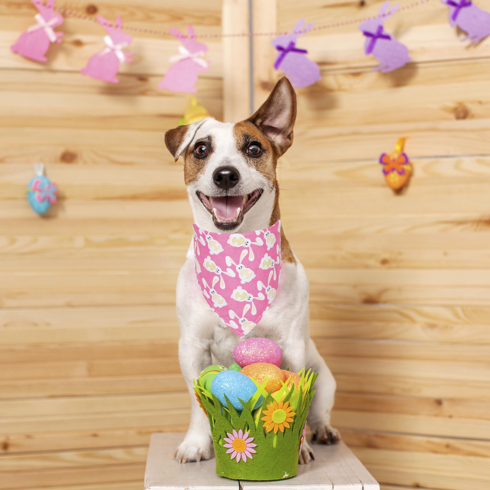 Dog Bandana Easter