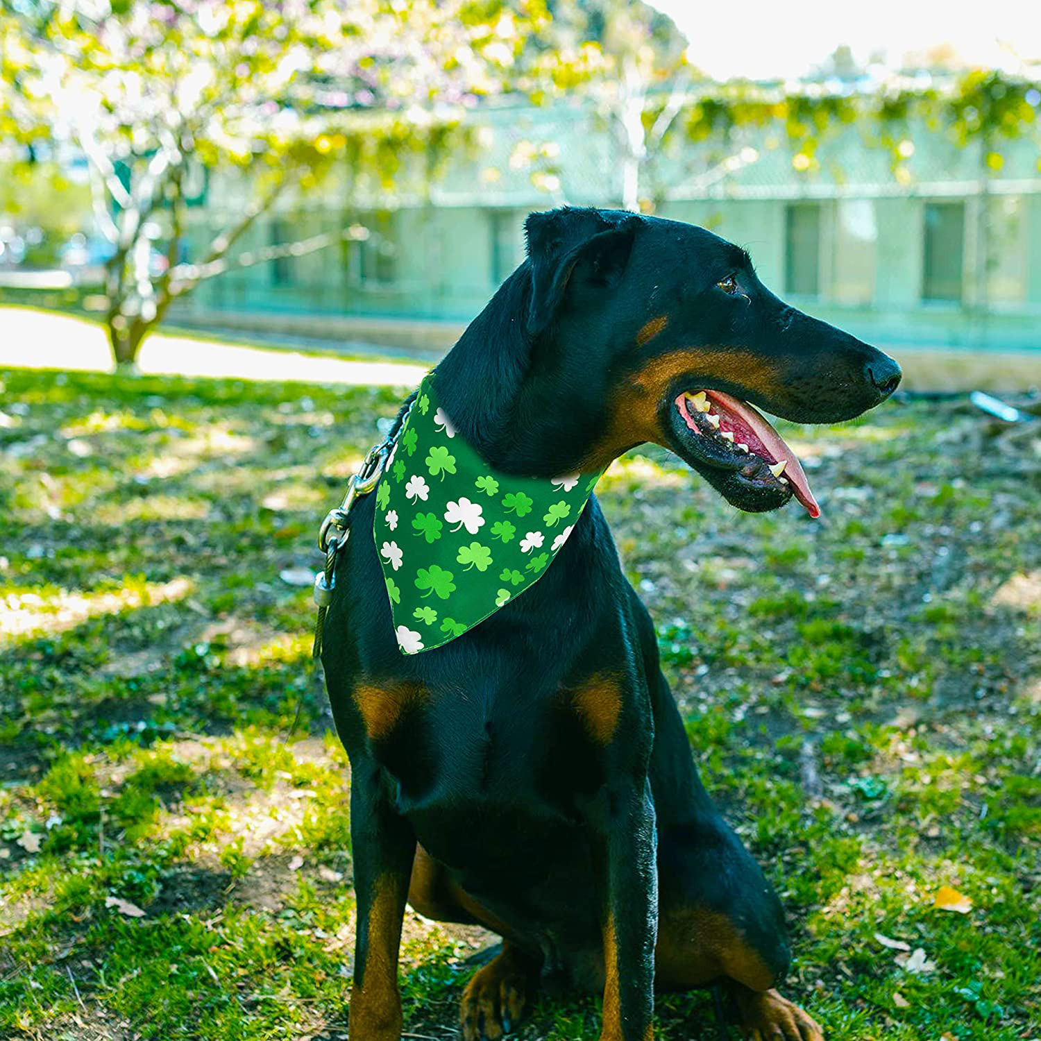 Dog Bandanas Wholesale