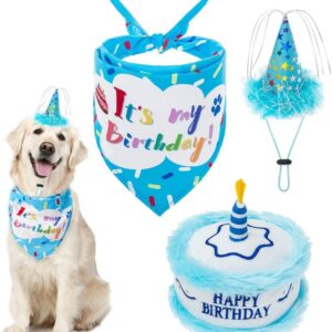Dog Birthday Party Supplies