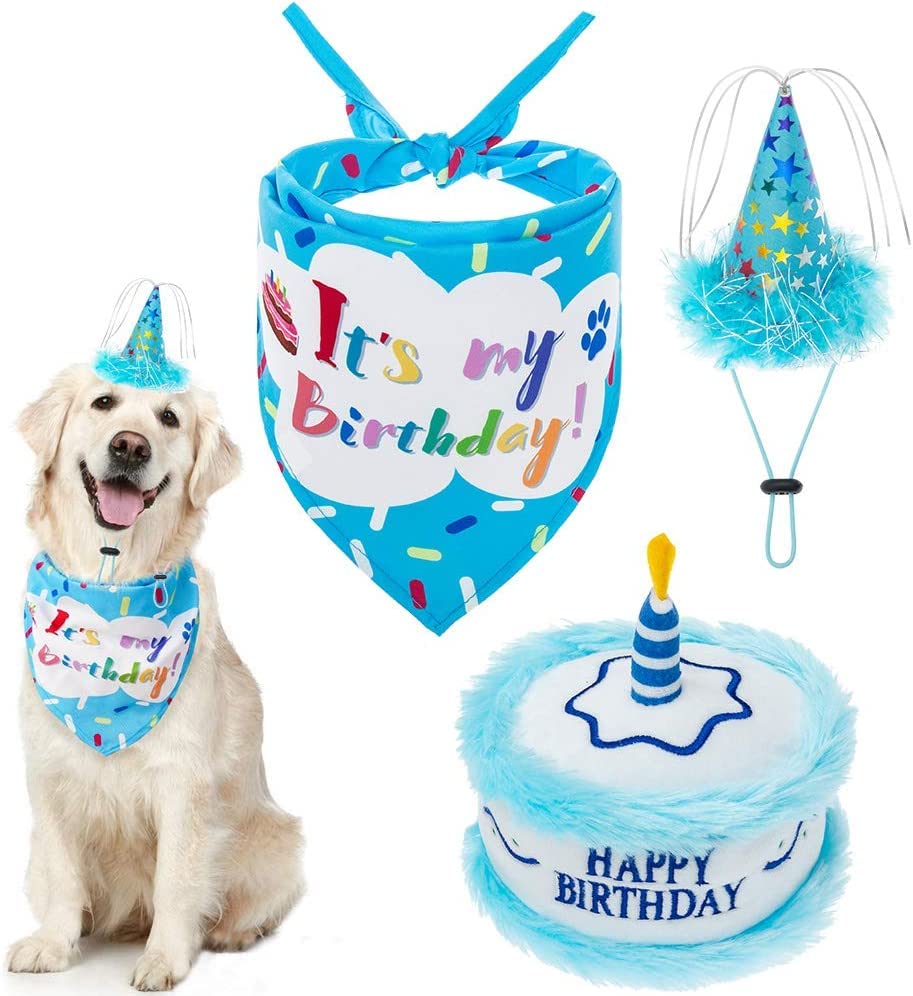Dog Birthday Party Supplies