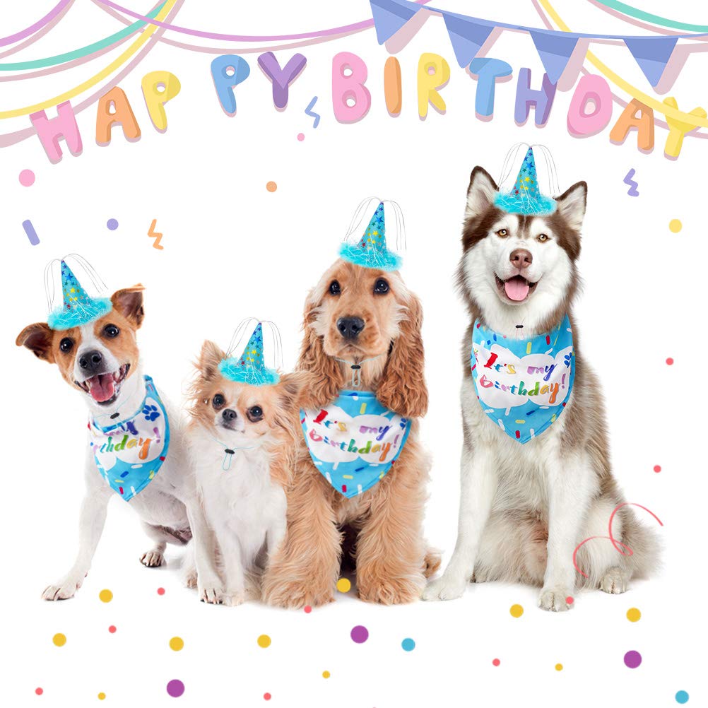 Dog Birthday Party Supplies