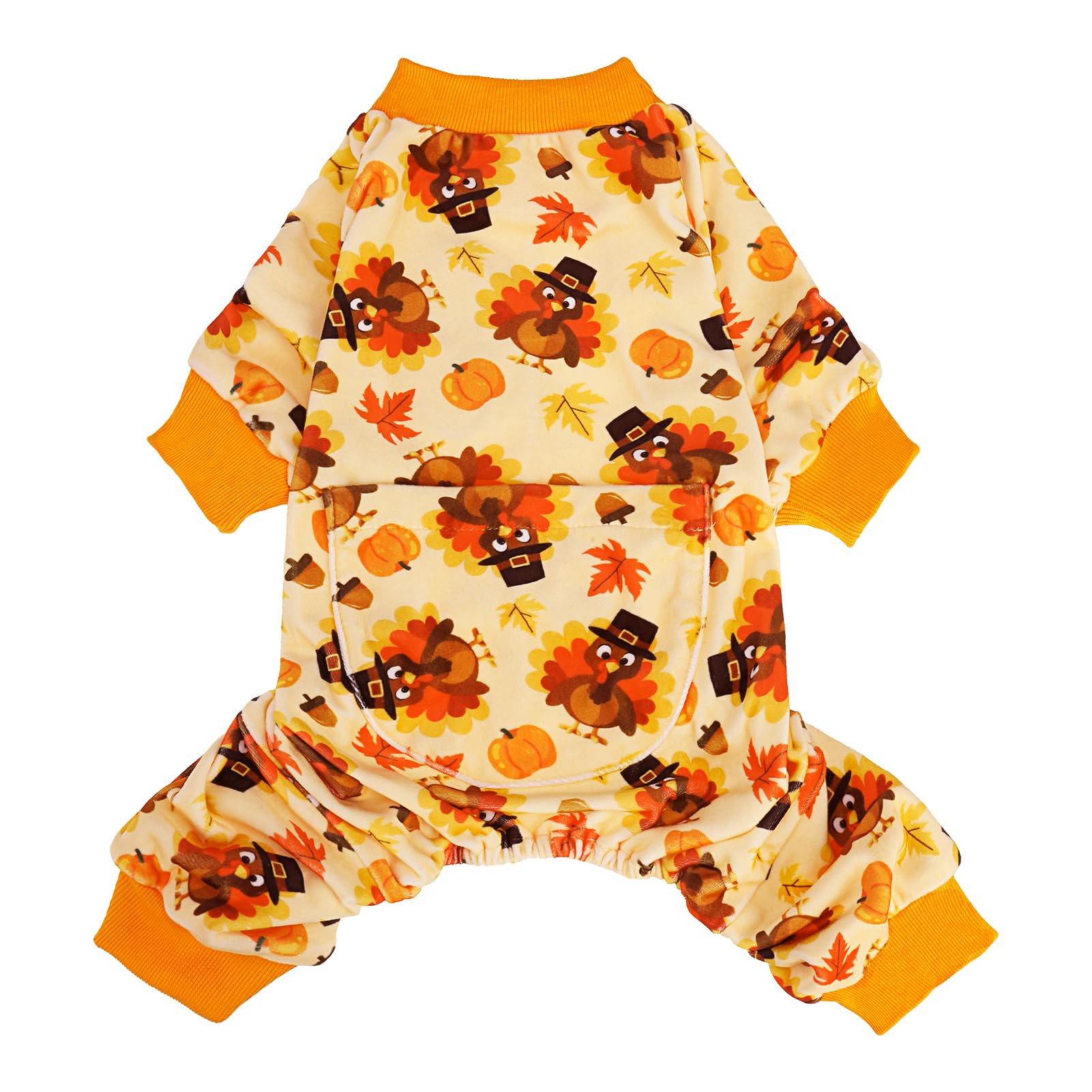 Dog Outfits For Thanksgiving