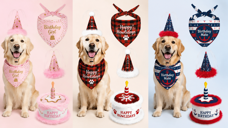 Dog birthday party costume set with hats, bibs and cake props displayed in multiple themed styles for wholesale customization