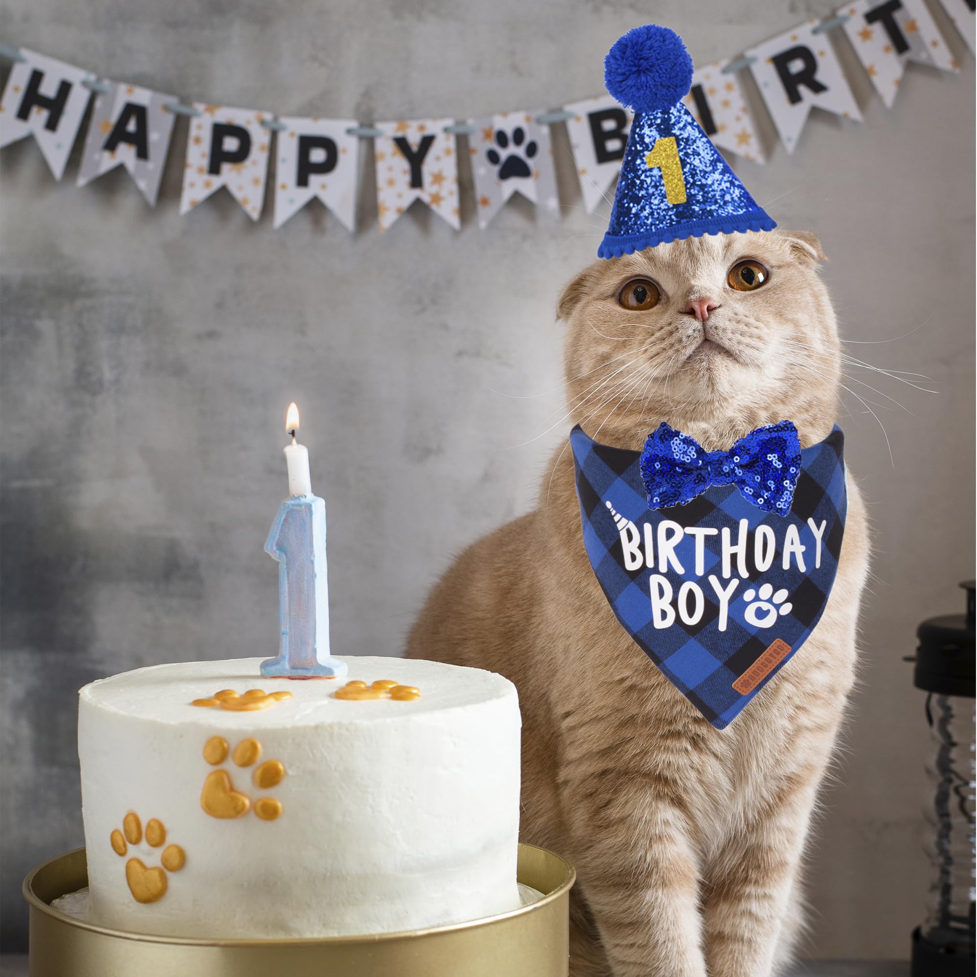 Pet Bandana5