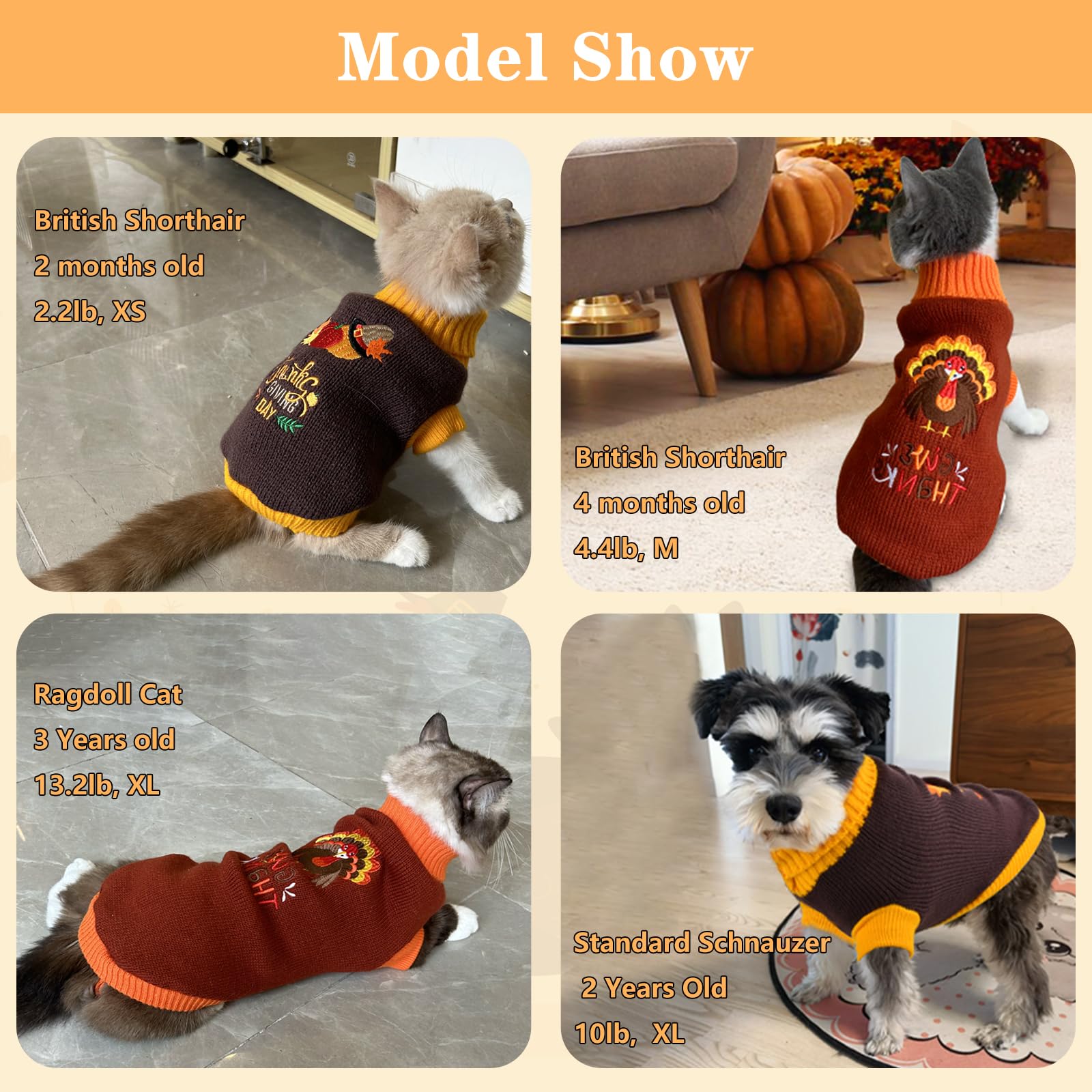 Pet Clothes
