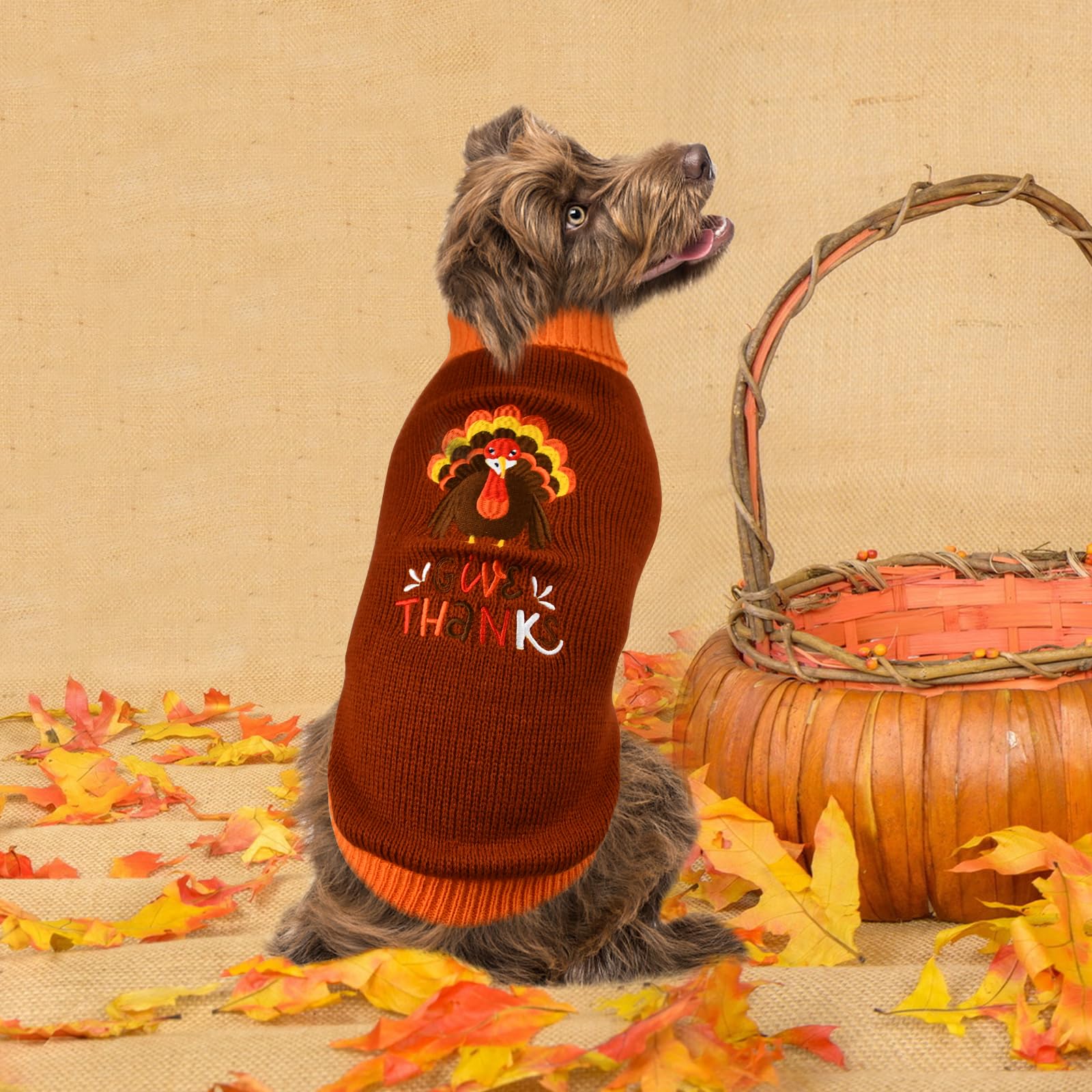 Pet Clothes
