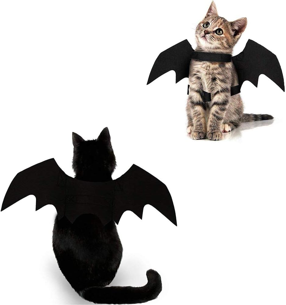 Pet Dress Up