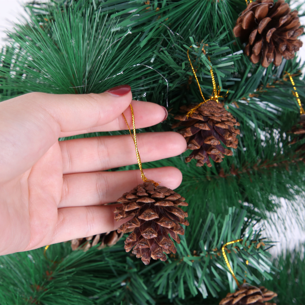 Pine Cones For Crafts
