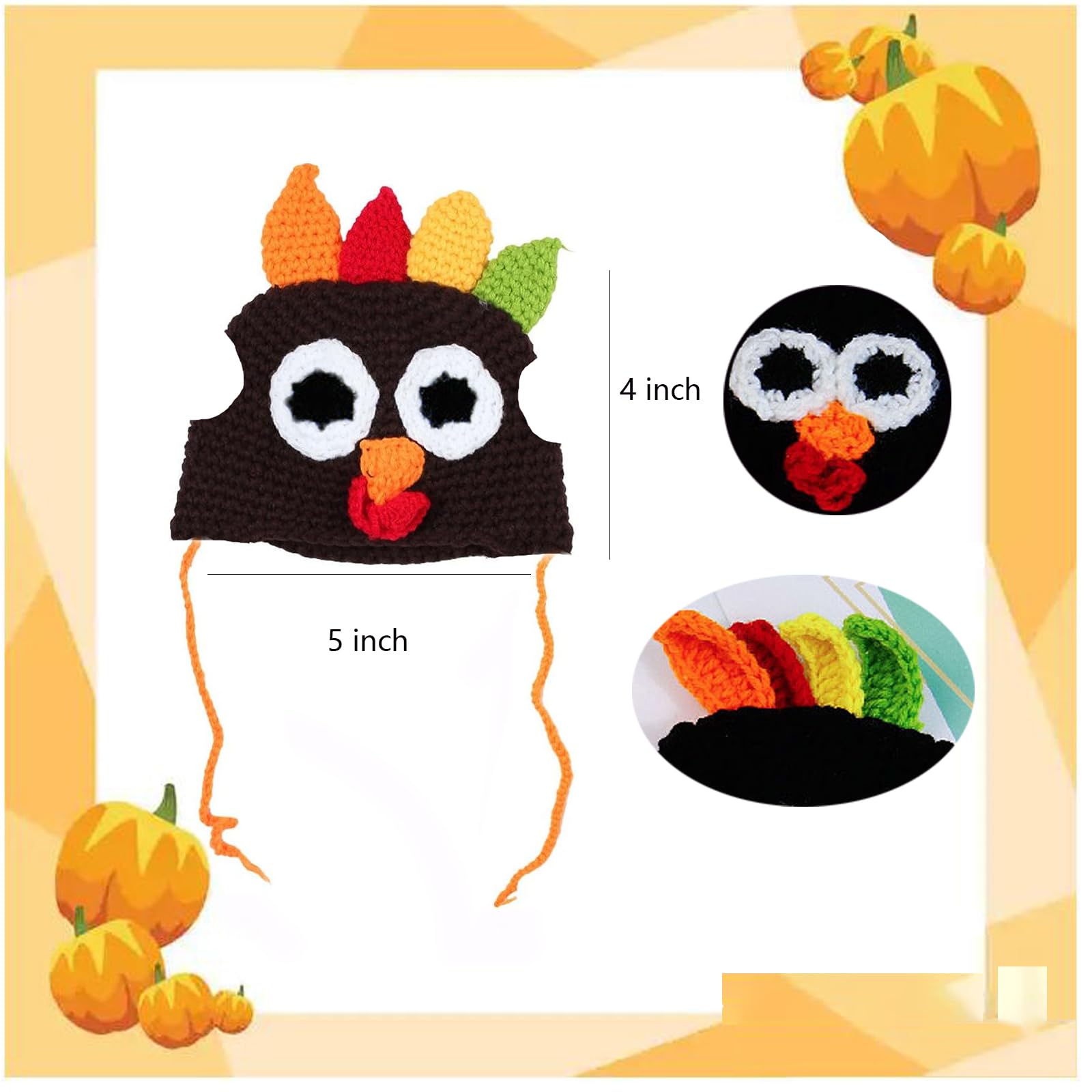 Shop Pet Accessories