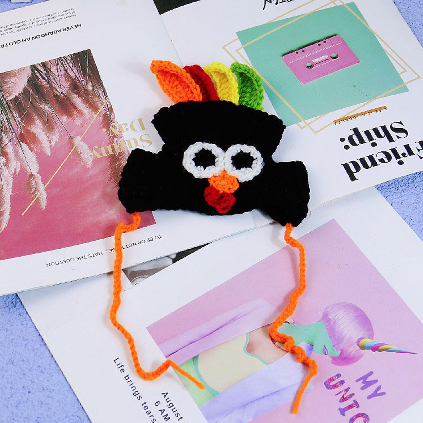 Shop Pet Accessories