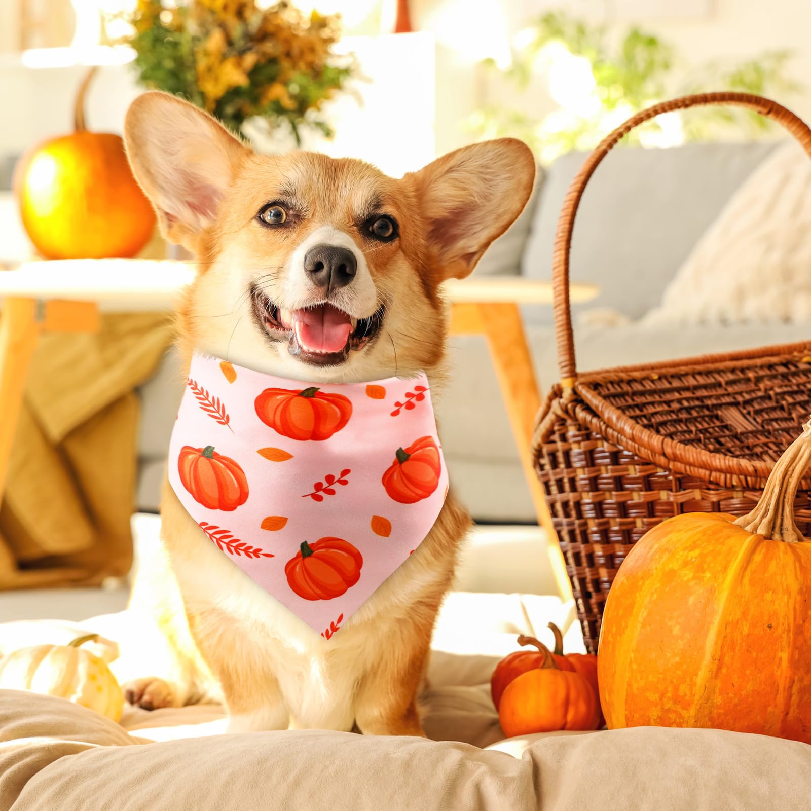 Thanksgiving Dog Bandana