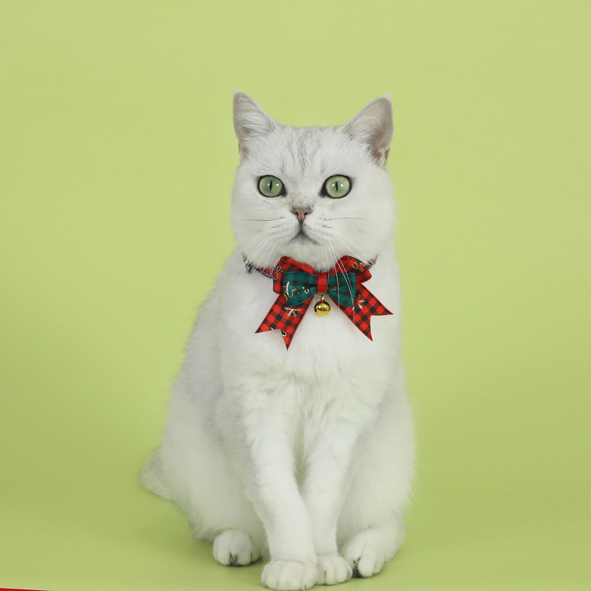 pet accessories