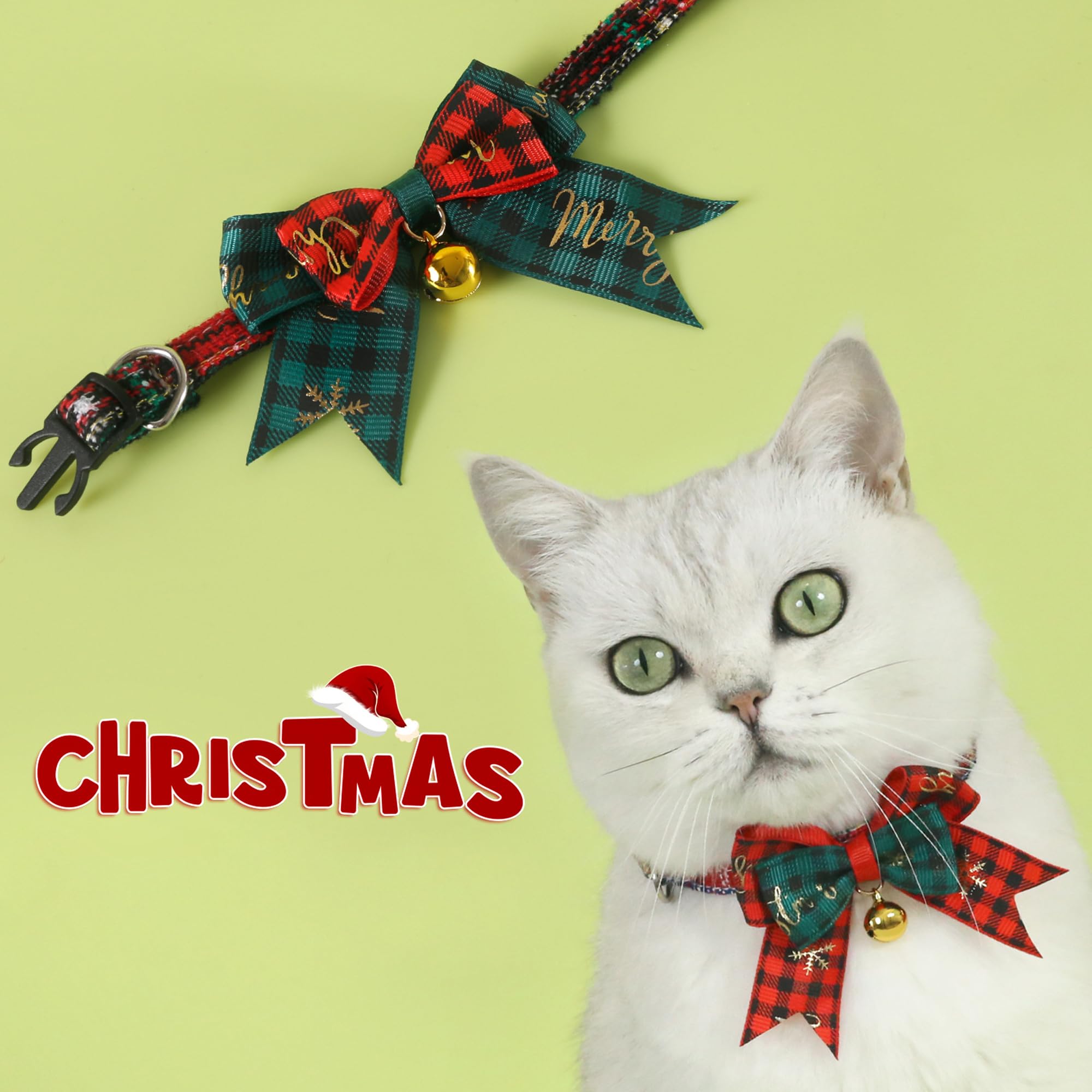 pet accessories